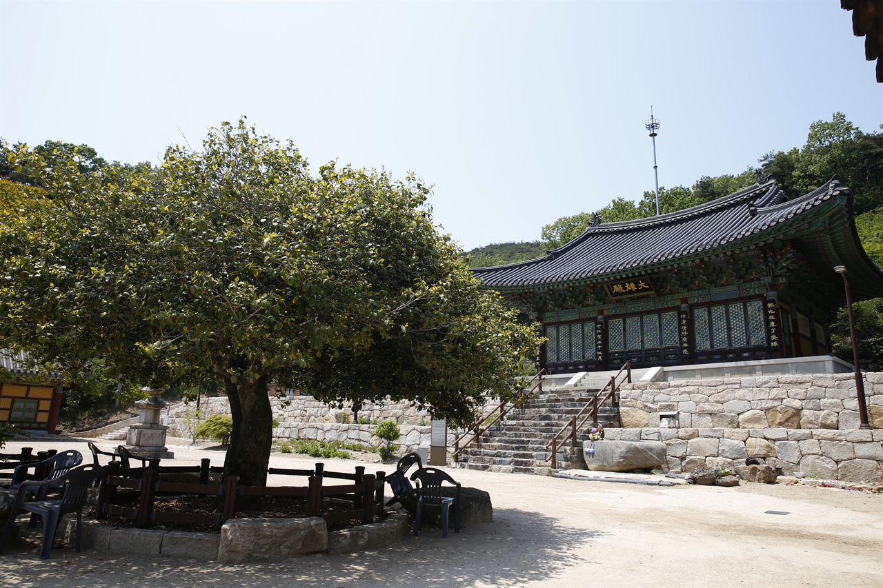 용암골 연흥사. 절집 마당에 있는 동백나무와 배롱나무 고목이 눈길을 끈다.