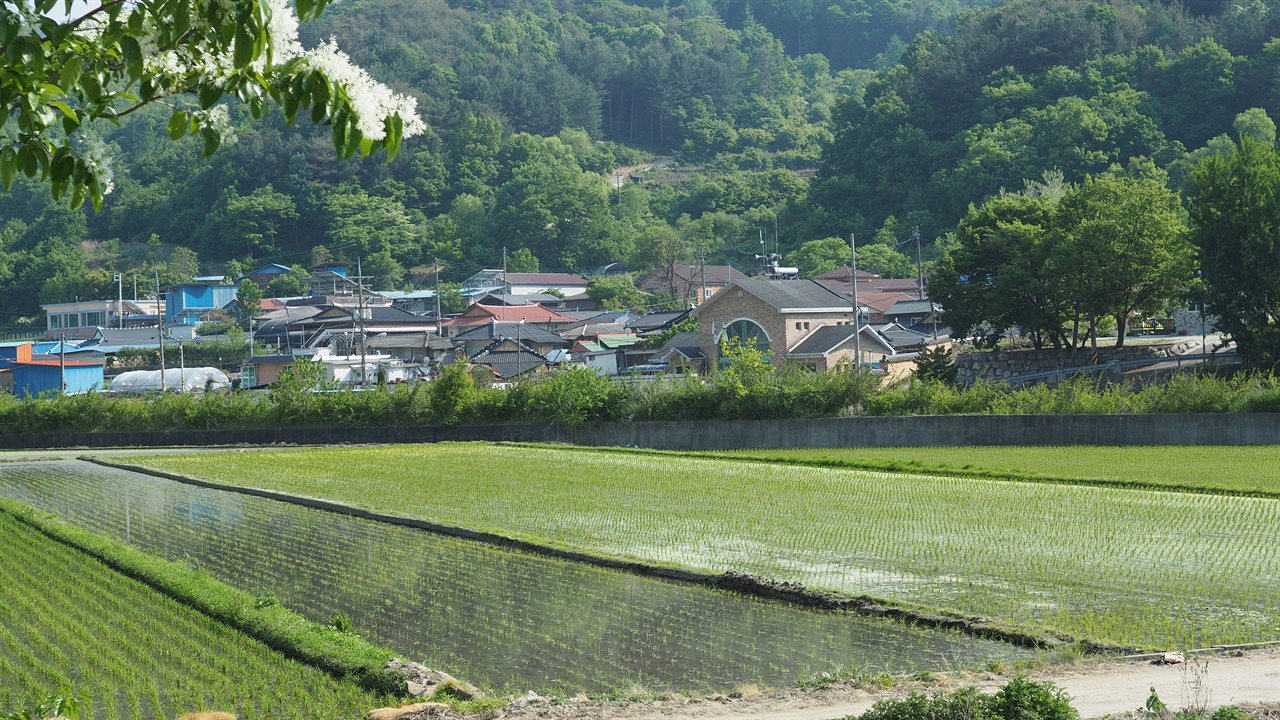 학선리마을 진안군 동향면 학선리마을