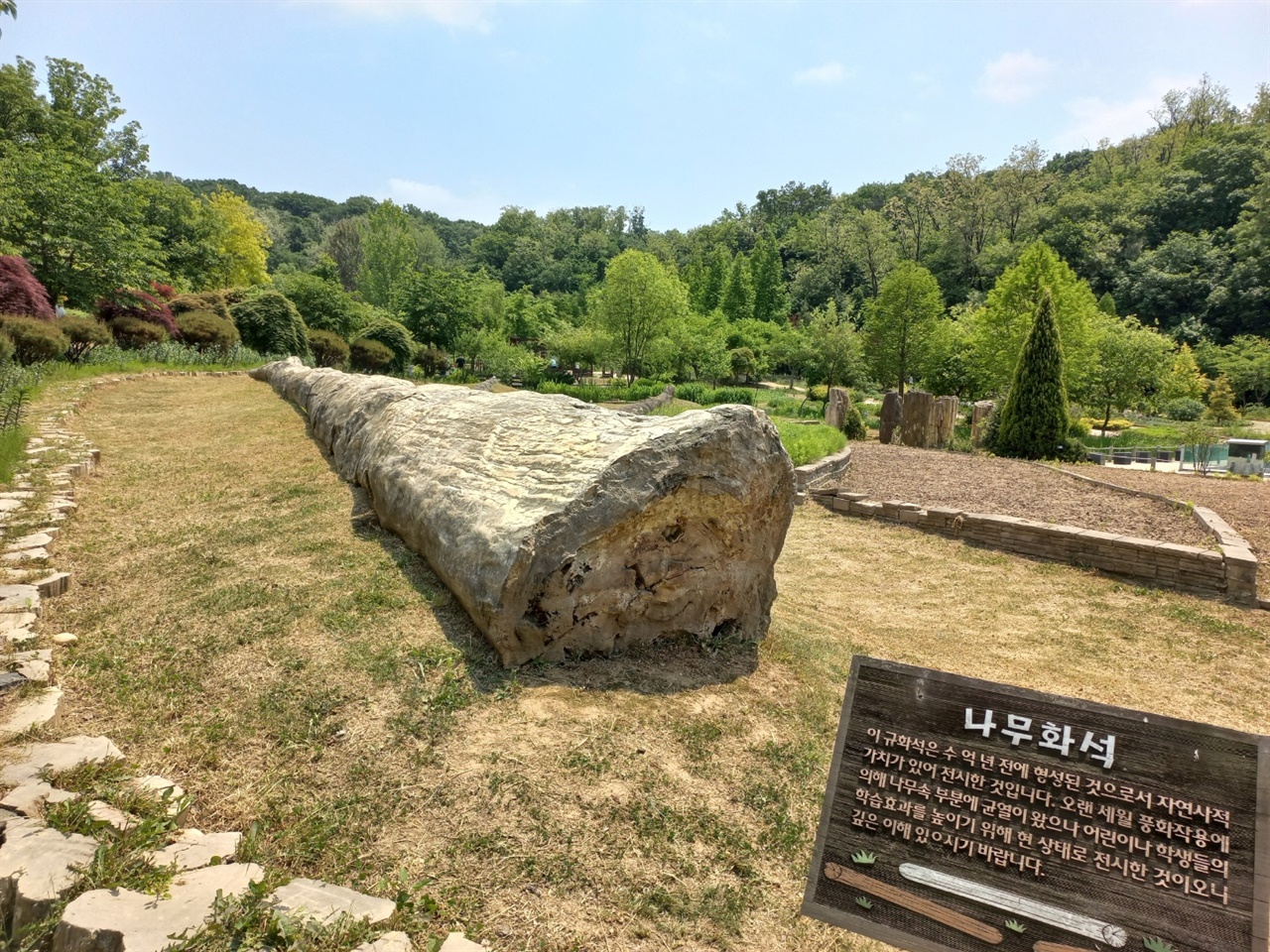 아시아에서 가장 크다는 나무 화석도 전시되어 있었다. 규화목 중에서 화석화가 잘 진행된 것은 보석으로도 사용한다고 한다.