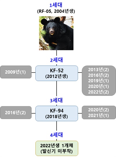 지리산 반달가슴곰 4세대 가계도