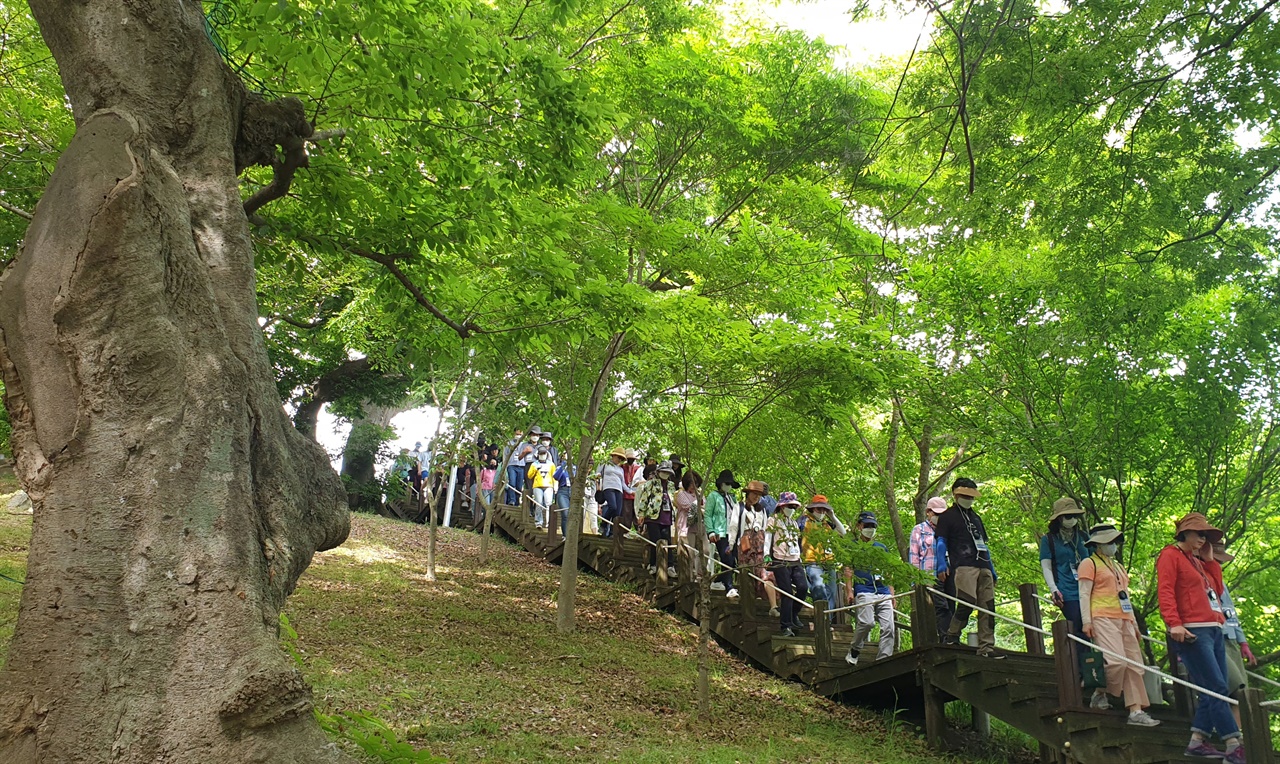 전남도교육청의 연수 프로그램 '남도 민주평화길'에 참가한 전남교사들이 지난 5월 28일 영광 법성포 숲쟁이의 나무 계단을 따라 걷고 있다.