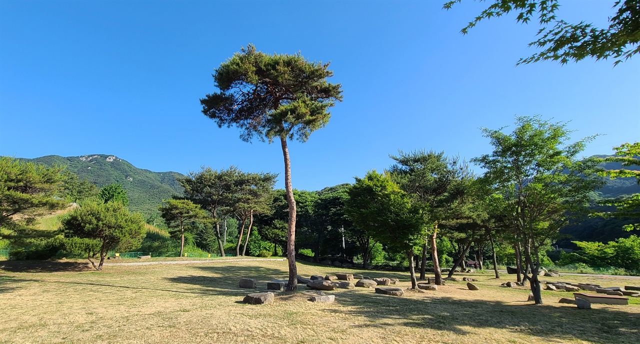 가야사 옛터   남연군 묘 주위는 한창 발굴 작업이 진행 중이다. 옛터에 주춧돌이 널렸다.