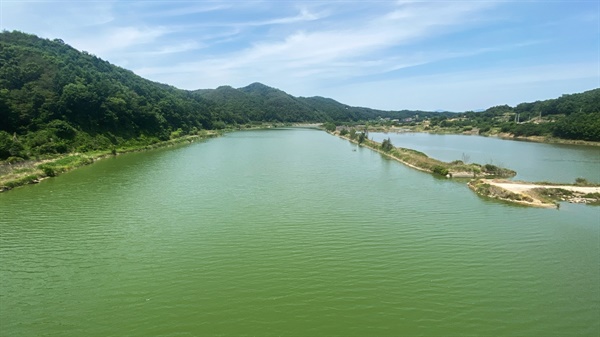 유사조절지 상류 두월교에서 바라본 내성천 영주댐 녹조. 심각하다.