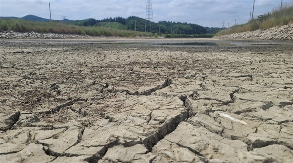 사진은 이원간척지 중앙배수로로 가뭄이 지속되면서 바닥을 드러냈다. 이 배수로의 물은 인근의 이원간척지 농업용수로 사용하지만 바닥을 드러냈다.