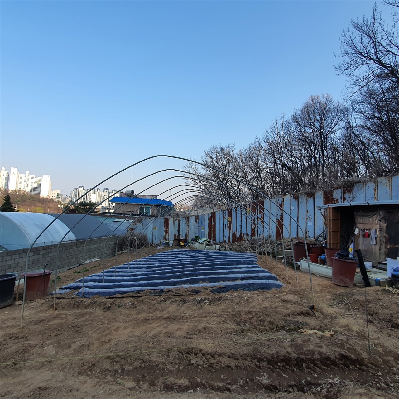 김경협 더불어민주당 의원 부인 명의로 된 밭에 세워지고 있는 비닐하우스.