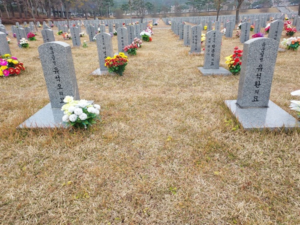  한날 한시에 지리산에서 전사한 유석오 유석환 일병 형제의 묘 