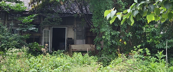 김두환 화백이 나혜석·이응노와 교류하며 창작활동을 한 충남 예산군 예산읍 예산리 505-3번지 아뜰리에. 지금은 잡초만 무성한 폐허로 변했다.