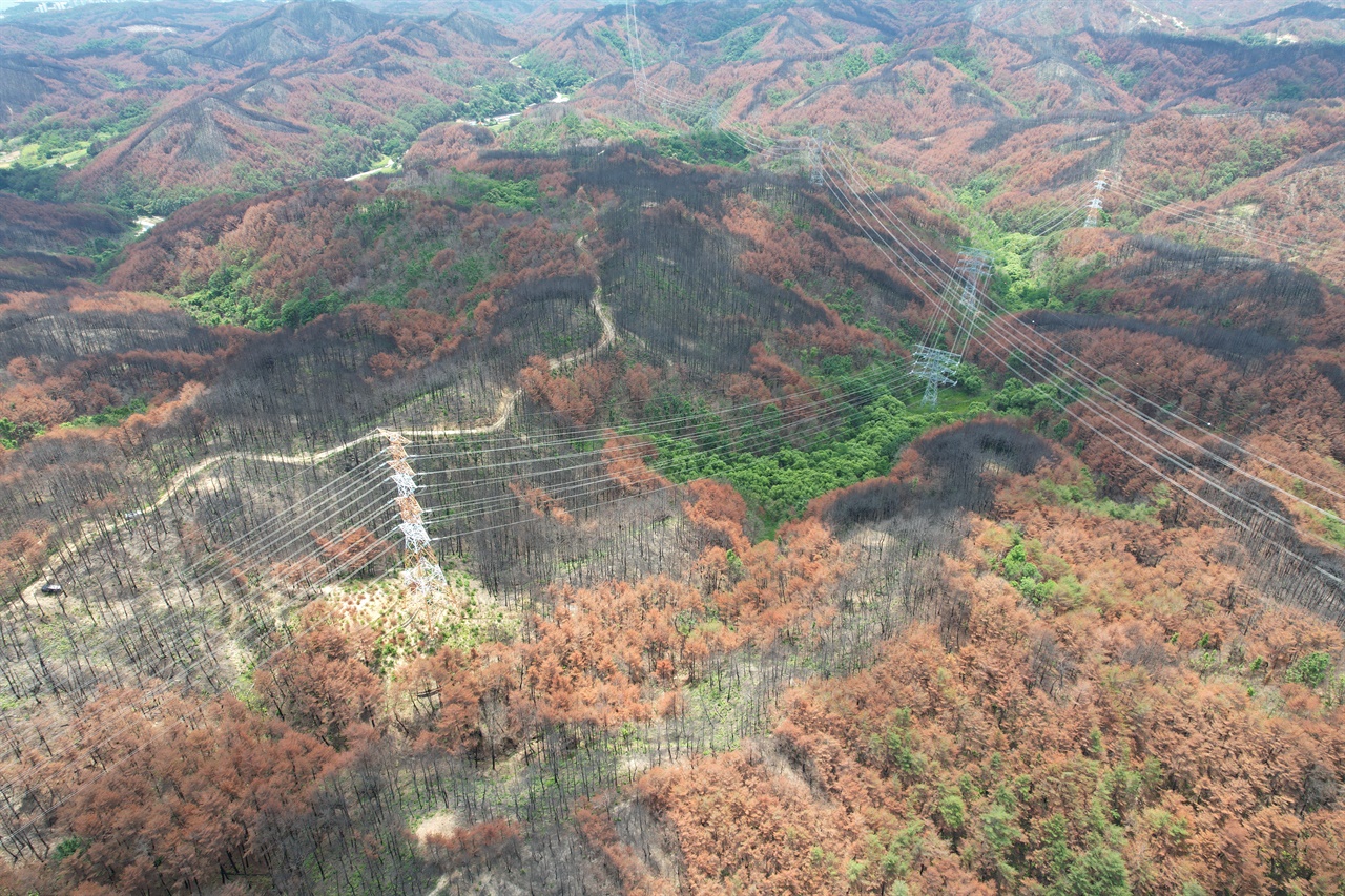 울진 산불피해지 내 송전선로