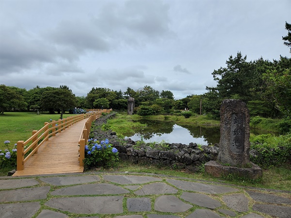 제주 혼인지 연못 모습(2022년 6월 20일 촬영)