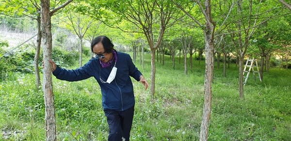 전남 곡성군 장권호 선생 가족묘지 인근의 묘목 농저장 이팝나무 등을 심어 가꾸는 조그만 농장이다.