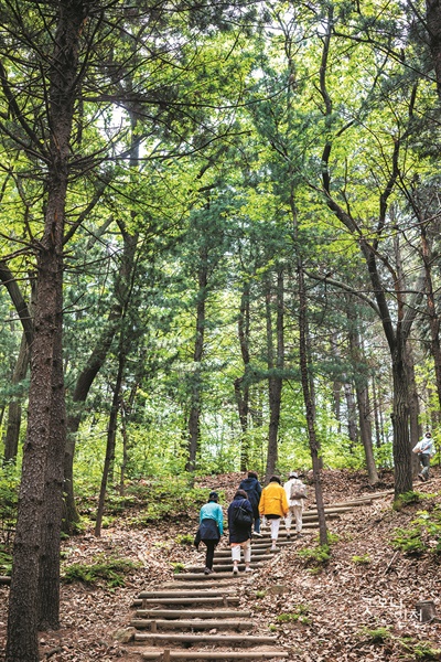  인천대공원 산림치유센터는 직장인, 노인, 일반성인, 갱년기여성, 가족단위 등으로 참여할 수 있다. 사진은 참여자들이 치유의숲을 거닐고 있는 모습.