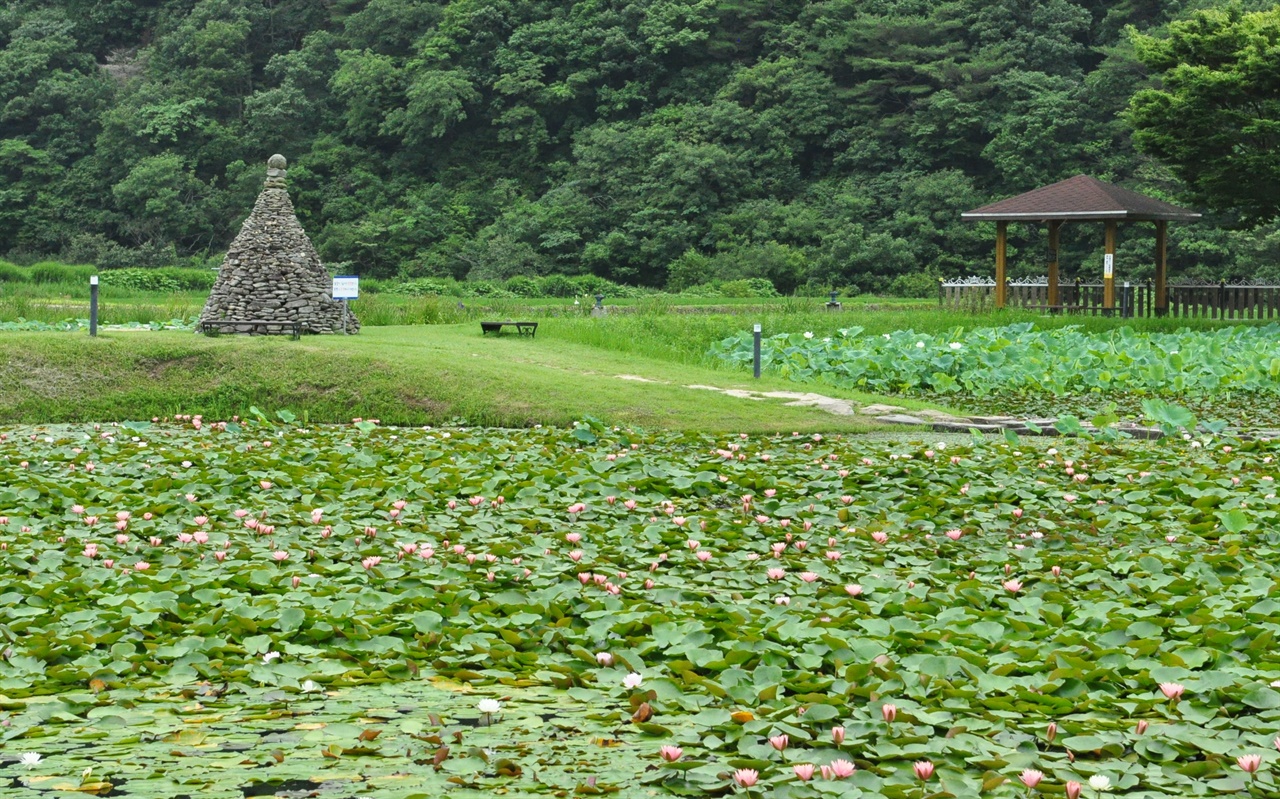 고성 상리연꽃공원 