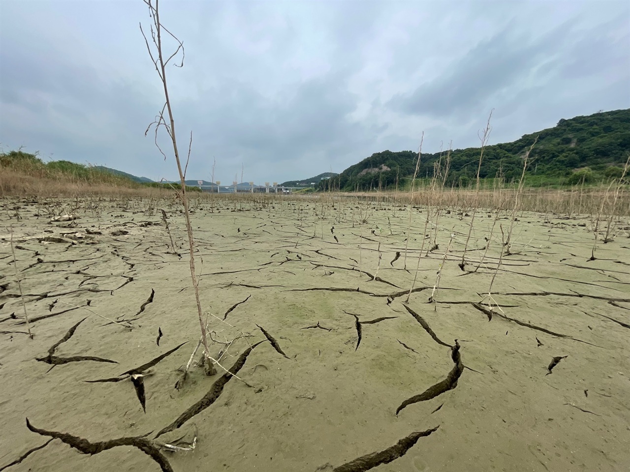 펄밭 멀리 공주보가 보인다.