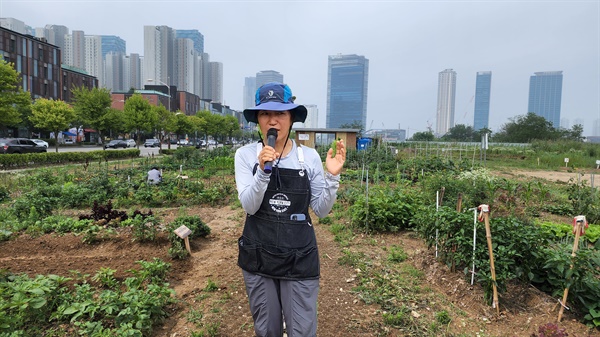 고민희 도시농업네트워트 이음텃밭 팀장이 자원봉사자들에게 채소에 물주는 방법과 상추 수확 요령을 설명하고 있다.