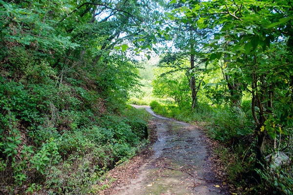 김천시 구성면 송죽리 돌고개. 대뱅이재와 함께 1950년 7월, 특무대와 헌병들이 1200여명을 학살한 현장 가운데 하나다. 