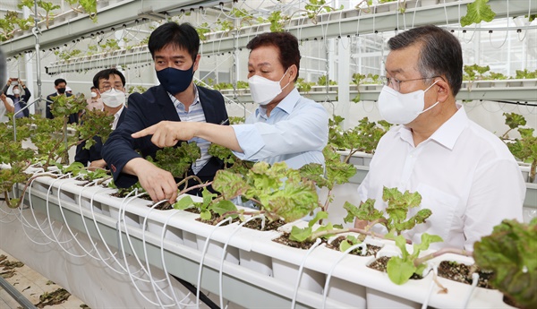  밀양의 ‘경남 스마트팜 혁신밸리 조성사업’ 현장