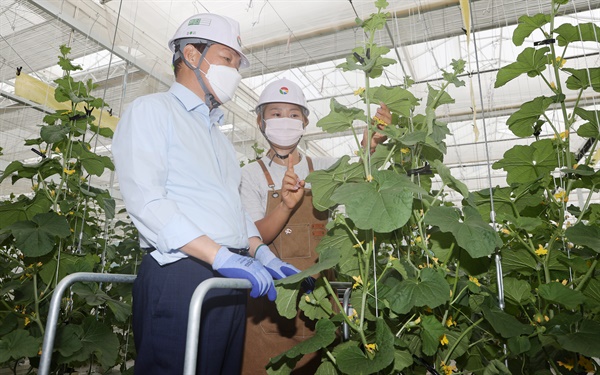  밀양의 ‘경남 스마트팜 혁신밸리 조성사업’ 현장