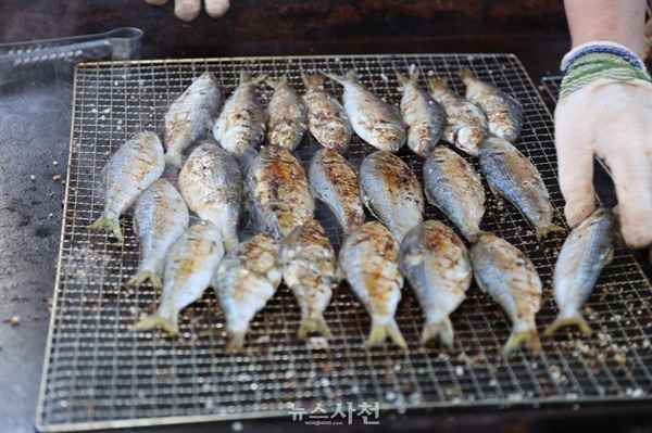  제19회 삼천포항 자연산 전어축제가 지난 21일 개막했다. 사진은 노릇노릇 구워지고 있는 전어.