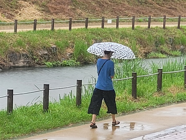 5호 태풍 '송다' 영향으로 전국에 비가 내리는 가운데, 홍성도 오전부터 비가 내리고 있다. 