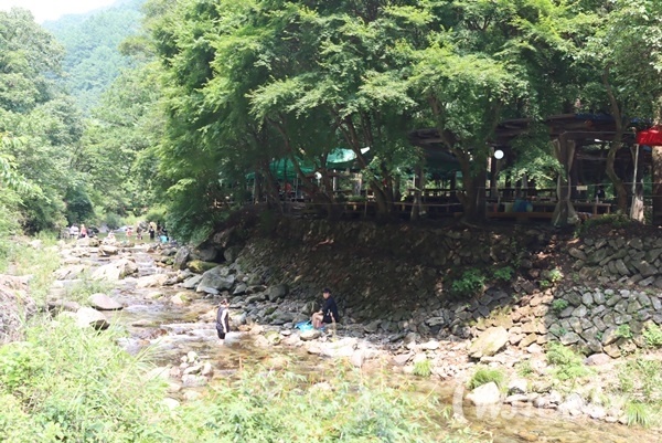 원주시가 금대계곡 하천정비계획을 진행한다.