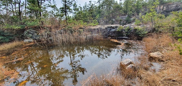 정상에는 습지연못이 형성되어 특이한 지형을 이룬다.
