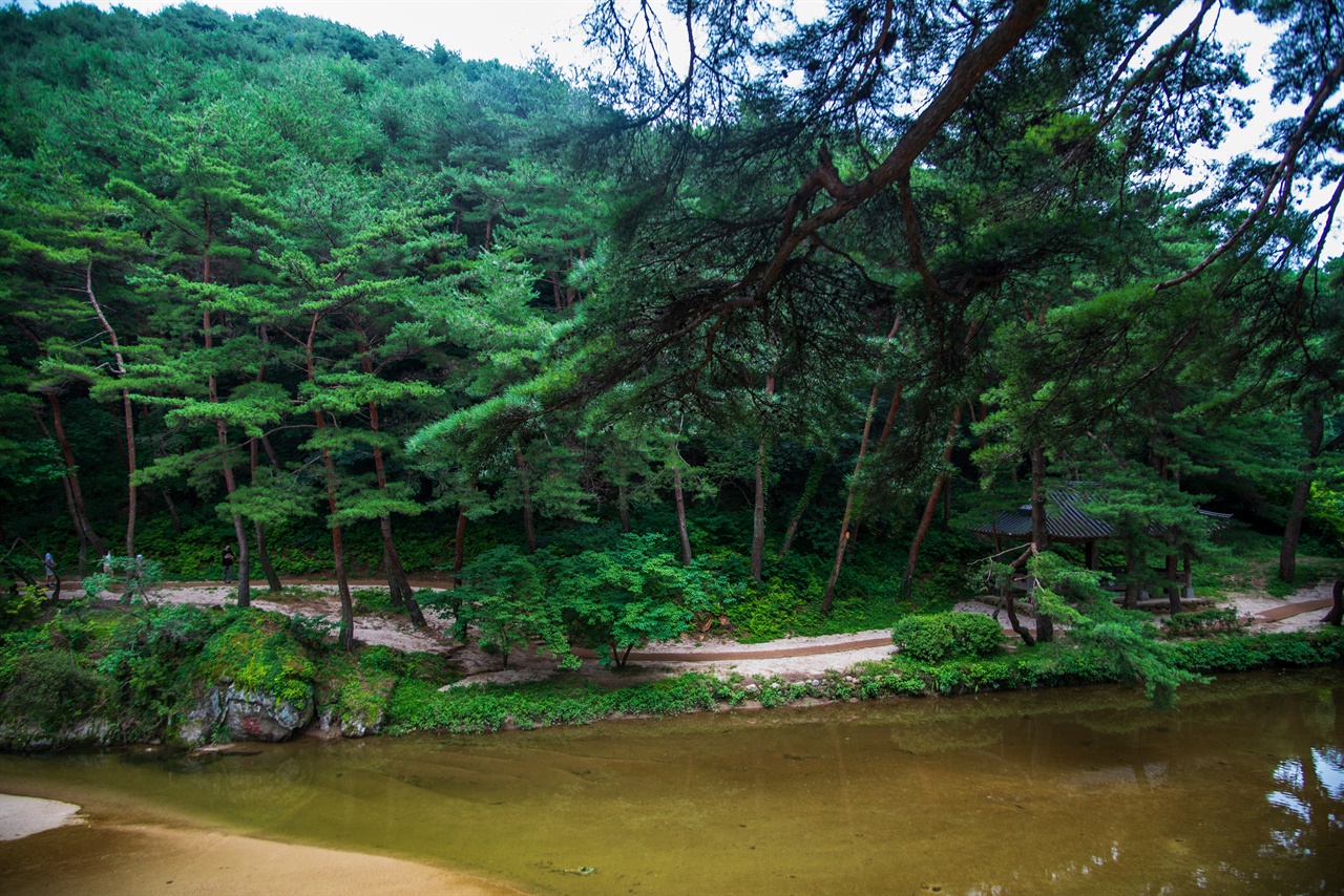  소수서원 앞을 흐르는 죽계천. 왼편에는 '경(敬)'자 바위, 오른편에 있는 정자는 취한루다. '敬'은 유교의 근본사상인 하늘을 공경하고 사람을 사랑한다는 '경천애인(敬天愛人)'의 머릿글자인데, 주세붕이 서원을 세우면서 단종복위운동 실패로 희생된 원혼들을 위해 붉은색으로 새겼다. '敬'위에 하얀색 '백운동(白雲洞)'은 퇴계 이황이 새겼다.
