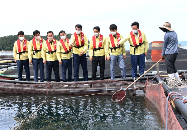 김진부 경남도의회 의장을 비롯한 의원들이 8일 통영 산양읍 일대 가두리 양식을 찾아 점검했다.