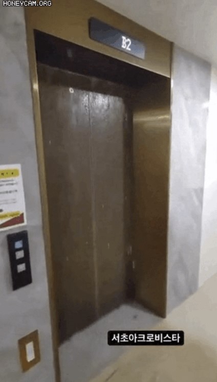 지난 8일부터 공유되기 시작한 엘리베이터 침수 영상. 영상엔 '서초 아크로비스타'라는 글자가 새겨져 있다. 