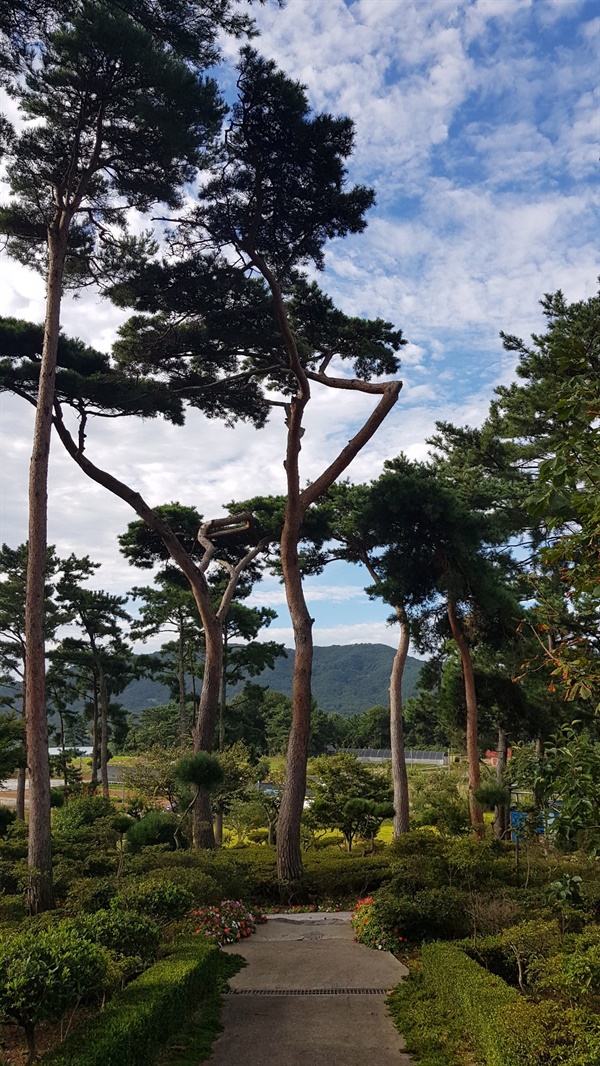 서산시 인지면 모월리 '쉼이 있는 정원'？？ .