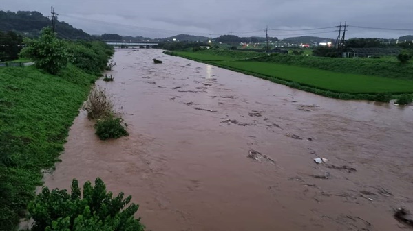 10일 오후 7시 30분경 홍성역 인근 하천 모습이다. 물이 불어나면서 인근 농경지가 물에 잠겼다.