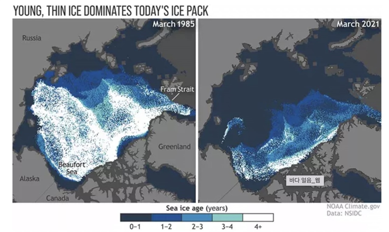  1985년과 2021년 3월 기준 북극 얼음의 나이를 비교한 자료이다.