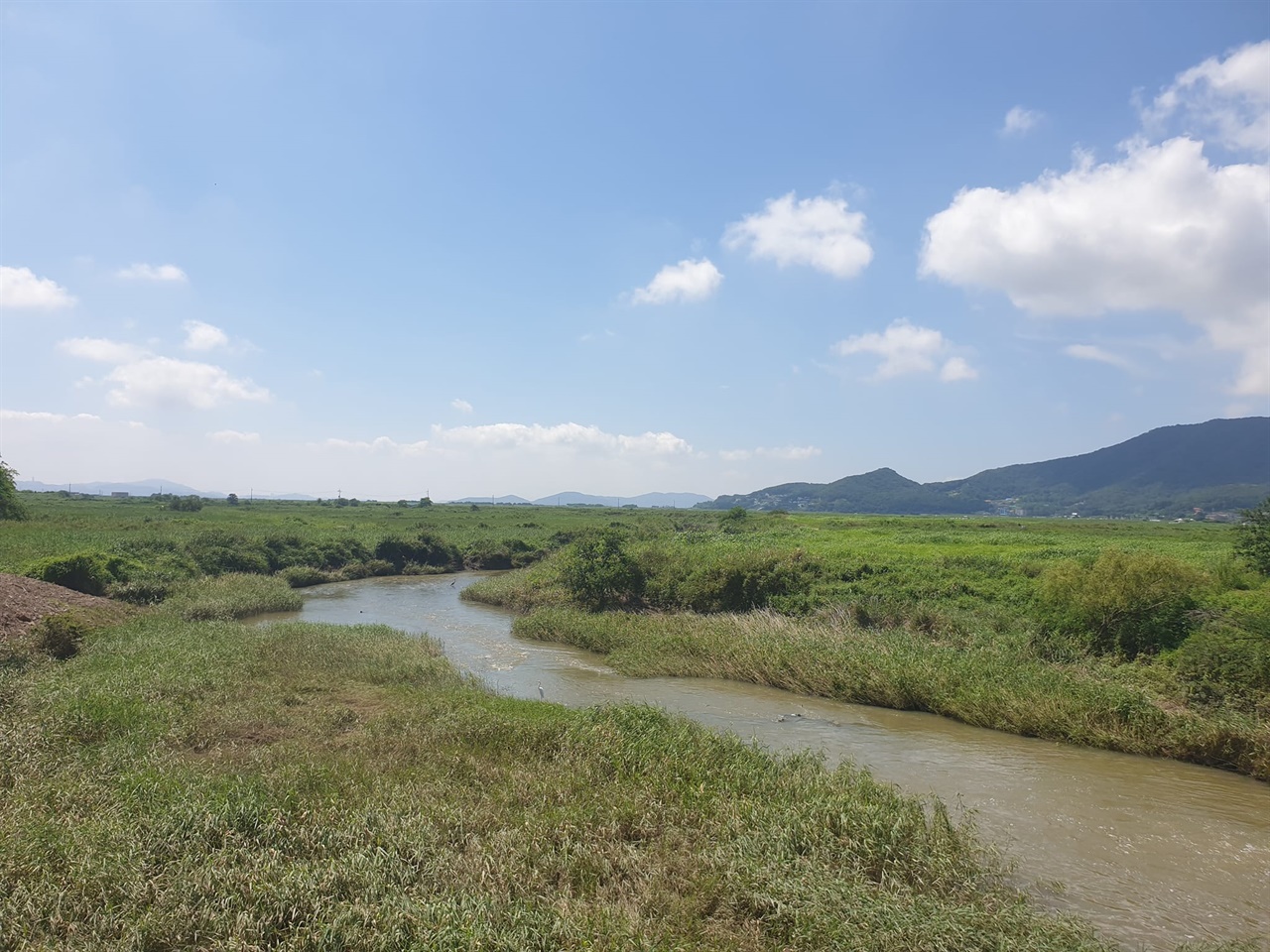 양암돈대 앞 들판과 수로. 박정희 대통령 때 재간척사업을 했는데, 아직 염분기가 덜 빠졌는지 농경지로 잘 이용되고 있지는 않다.