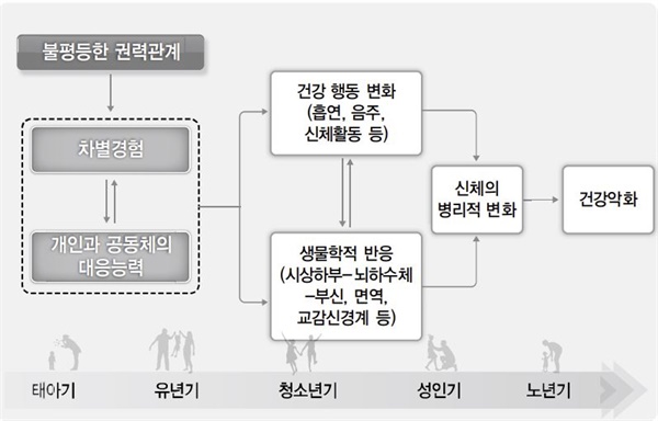 차별이 건강에 미치는 영향. Berkman et al. (2014), 한국의 차별경험과 건강 연구에 대한 체계적 문헌고찰, 「보건사회연구」(2015)에서 재인용.