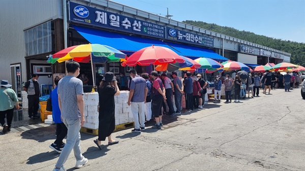 오징어 구입하려는 소비자들로 북적거리는 신진도수산시장 오징어 수확량이 늘어난 18일 신진도수산시장을 찾은 소비자들이 북적거리고 있ㄷ. 이날 수산시장에서는 20마리 1상자가 5만원에 거래됐다. 