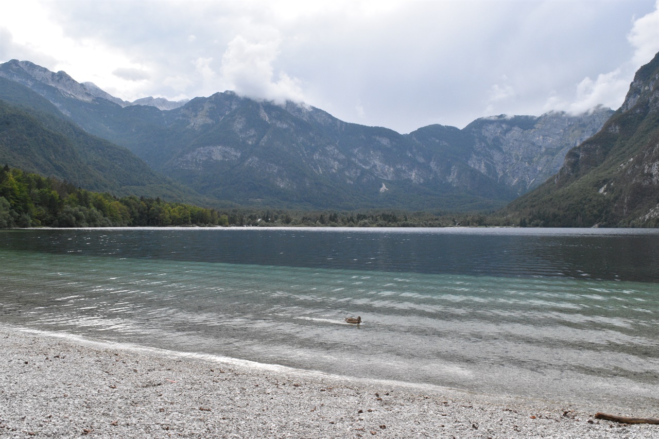 슬로베니아의 보힌 호수는 물이 너무 맑아서 멀리까지 다 보여 들어가기 무서울 정도였다.
