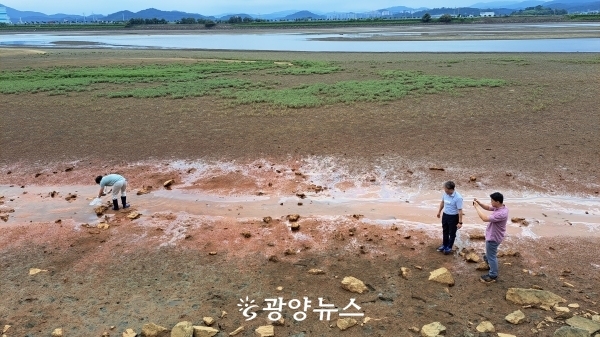 23일 오후 악취민원이 발생한 초남공단 앞 개펄을 찾은 환경당국 관계자들이 토양과 물의 시료를 채취하고 있다. 물이 흐르는 본류 중앙쪽의 녹색 염생식물과는 대조적으로 물길을 따라 기름띠가 보이고 표면의 색깔이 황토색으로 변해있다.