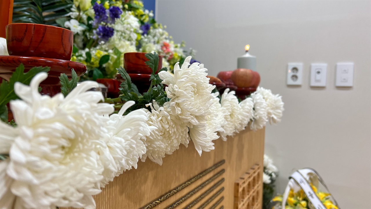 서울시 공영장례에 참여한 시민들이 고인께 올린 국화꽃