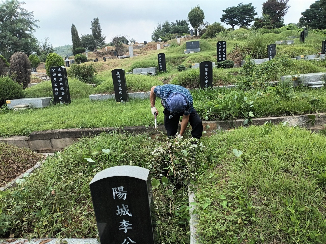 중면민회 청장년회원들이 지난달 애향동산에서 추석맞이 벌초작업을 벌이고 있다.