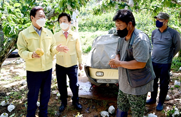  진주 문산지역 배 낙과 피해 현장 찾은 박완수 경남도지사와 조규일 진주시장.