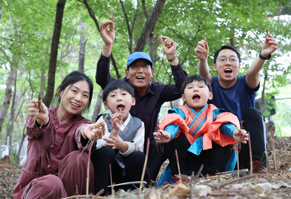  산삼 캐기 체험.