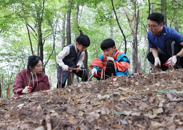  산삼 캐기 체험.