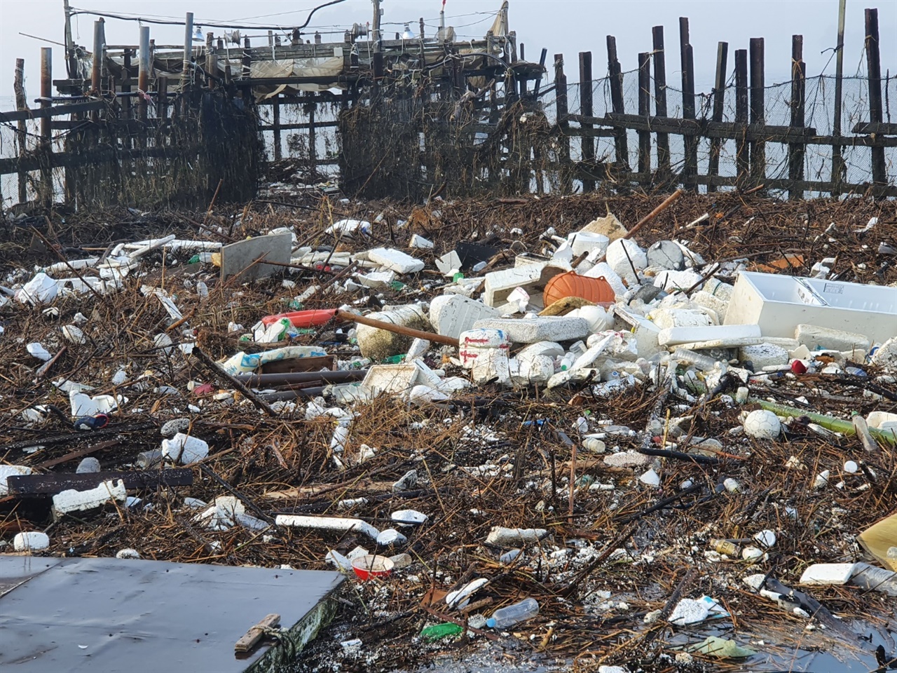 2020년 8월 태풍과 집중 호우에 죽방렴으로 밀려온 쓰레기 중에는 썩지 않는 플라스틱 쓰레기도 상당하다