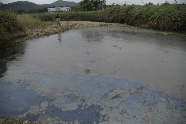 기름띠 둥둥 떠다니는 심각한 오염 현장. 이런 것이 금호강을 오염시키고 결국 영남의 식수원 낙동강도 오염시킨다. 