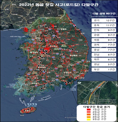 2022년도 동물 찻길 사고 다발구간 현황