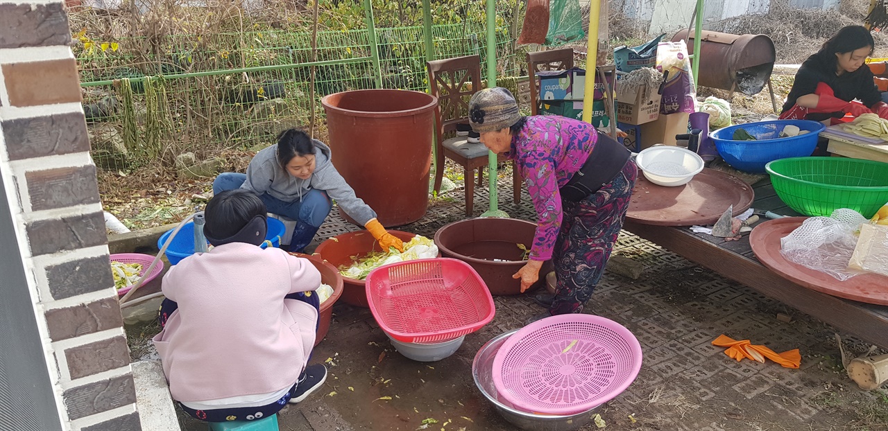 '모농숲' 땅을 내어준 모카의 집 앞마당에서 비건 김장 (노동) 파티를 진행한 모습이다. 