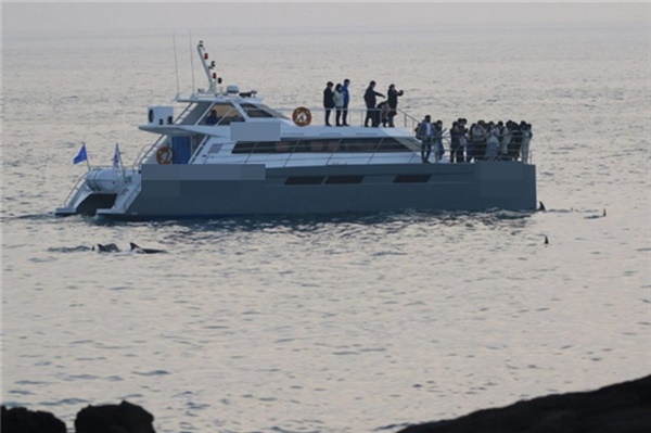 제주 돌고래 선박관광 모습