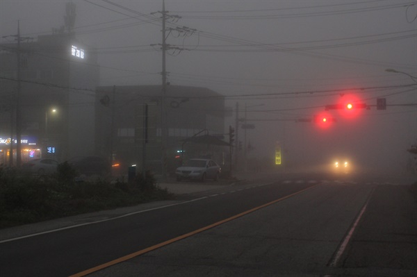 음성읍에서 맞이한 아침, 안개가 짙게 깔린 도로.