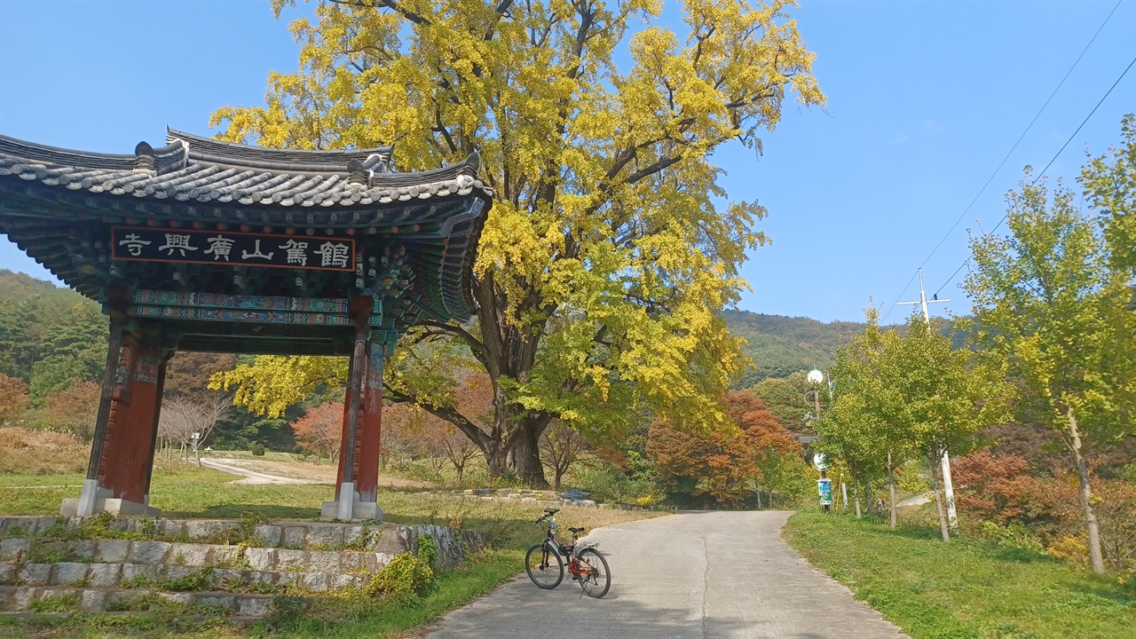 안동 광흥사 일주문과 은행나무 은행나무는 440년 수령으로 안동시 보호수이다.