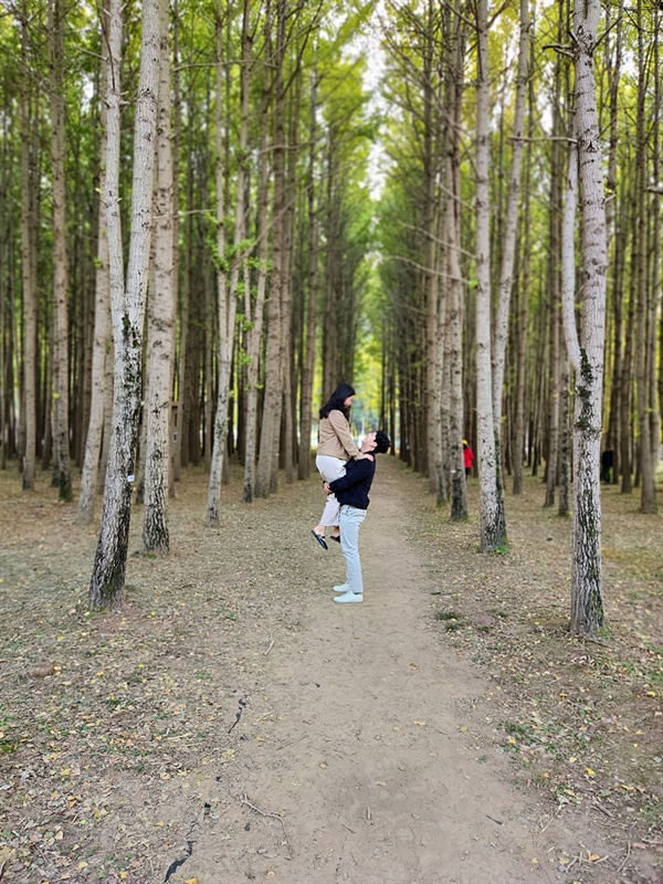  경주 서면 도리마을 은행나무숲 최고의 포토존, 연인들이 다정하게 포즈를 취하는 모습