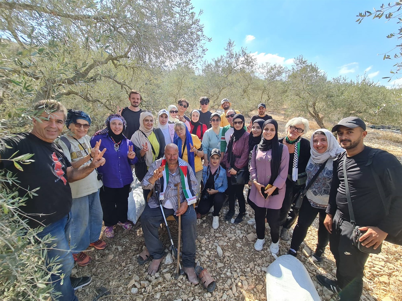 아씨라 마을 올리브 수확 체험활동에 함께한 국제활동가들과 팔레스타인 자원활동가들 모습
